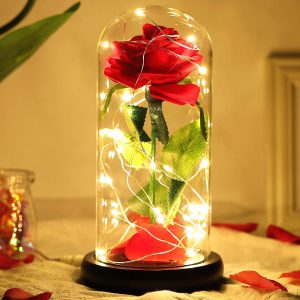 Enchanted Rose in Glass Dome Lite