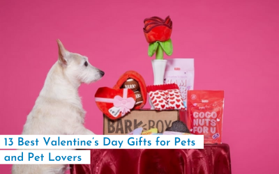 13 Best Valentine’s Day Gifts for Pets and Pet Lovers