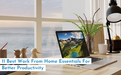 11 Best Work From Home Essentials For Better Productivity